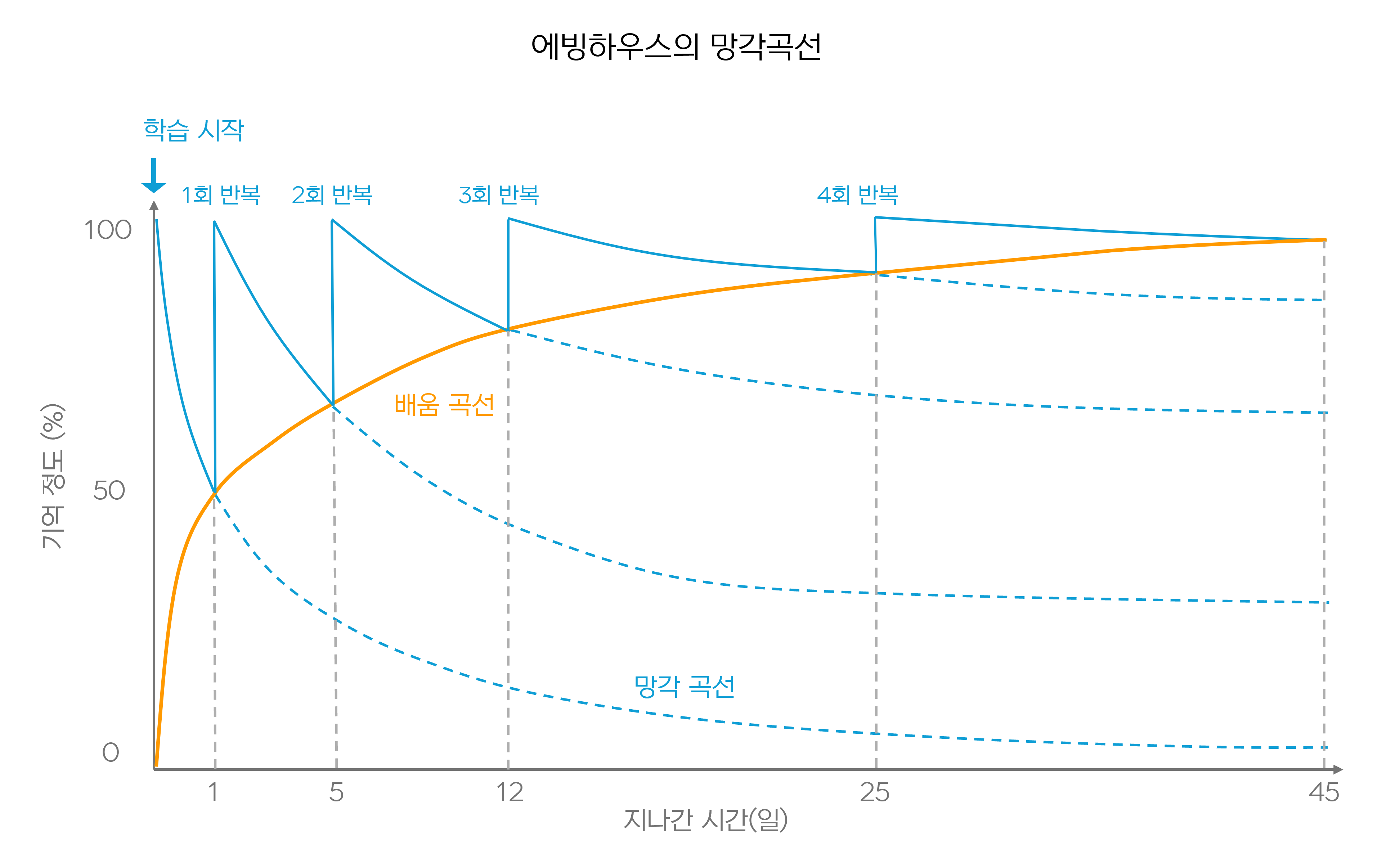 에빙하우스의 망각곡선 그래프